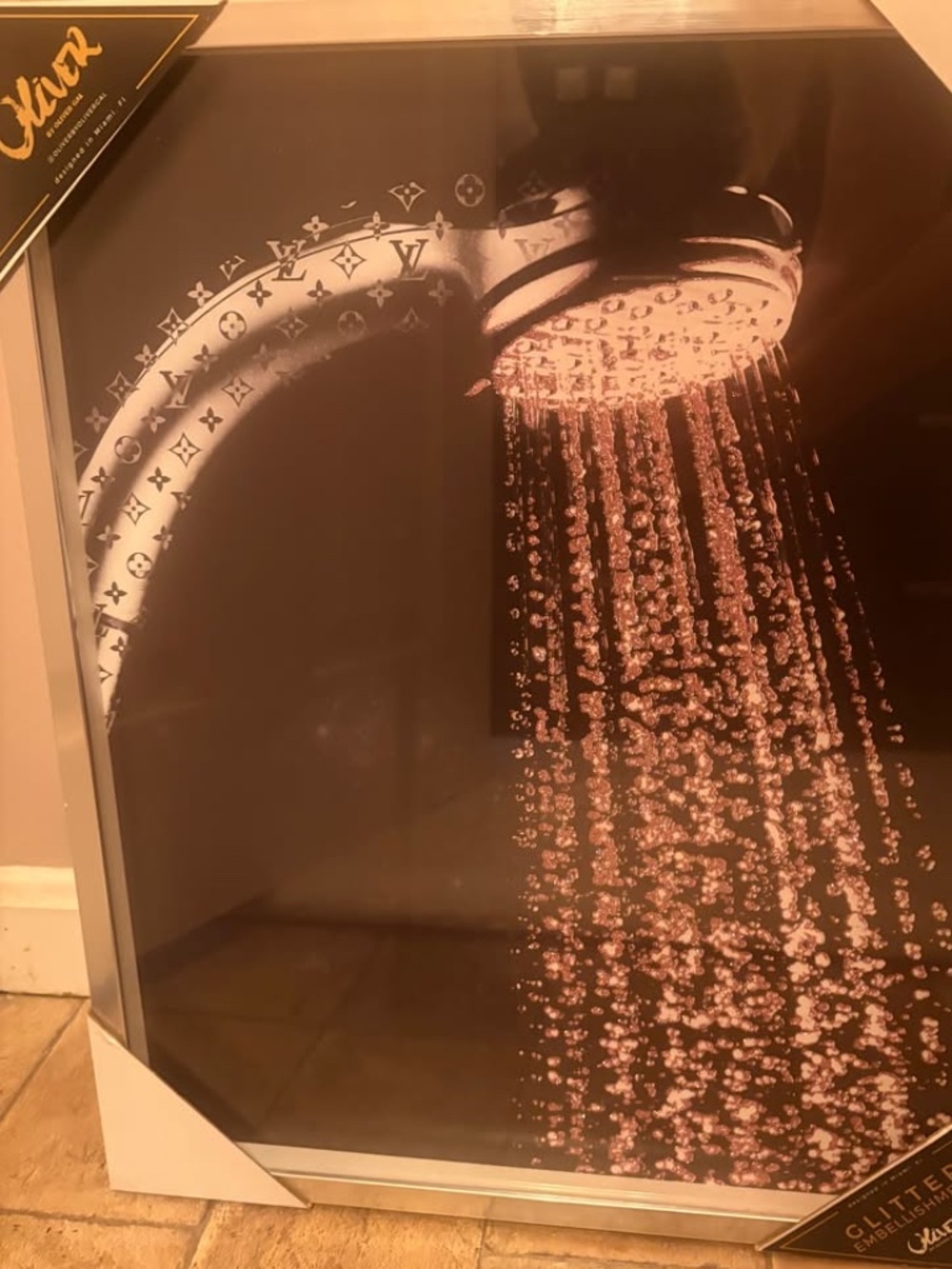 Louis Vuitton Bathroom Picture, Chrome Frame. new